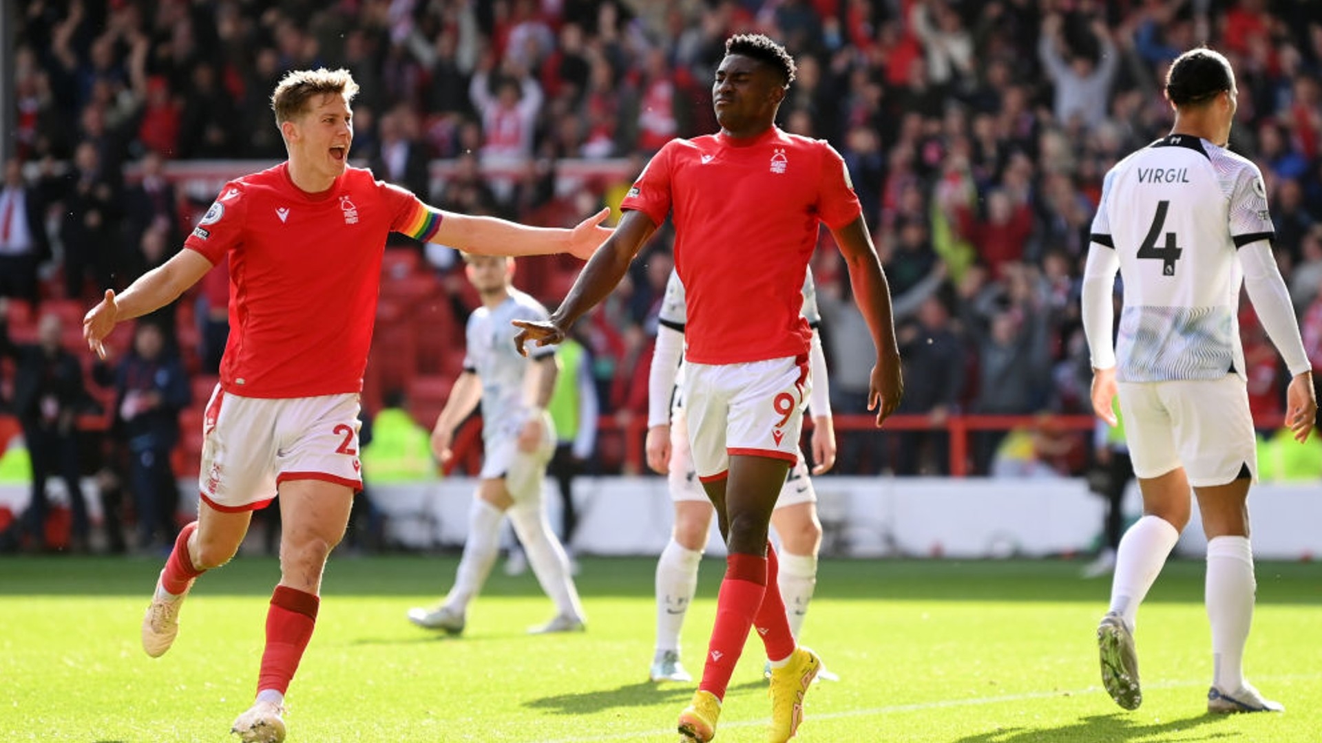 在这一领域 在这一领域